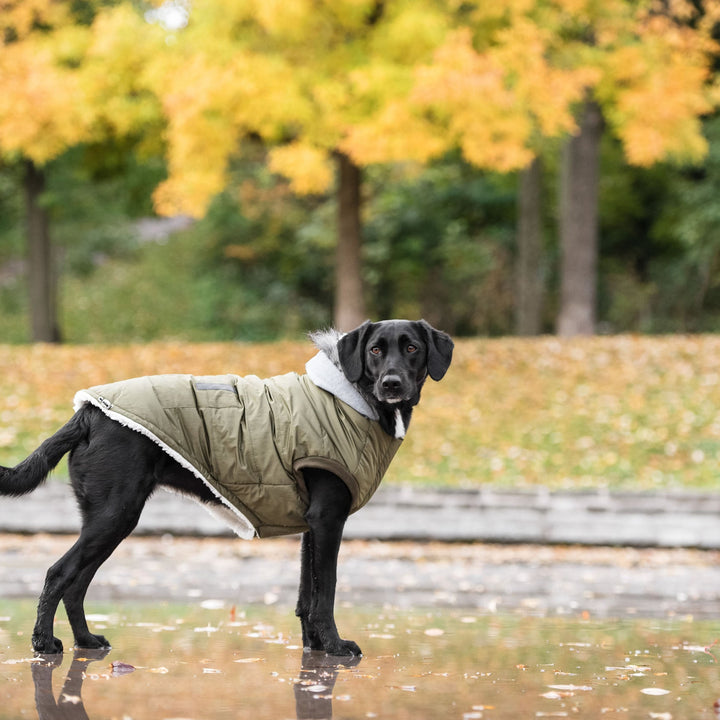 Brave Bark Thermal Parka - Khaki