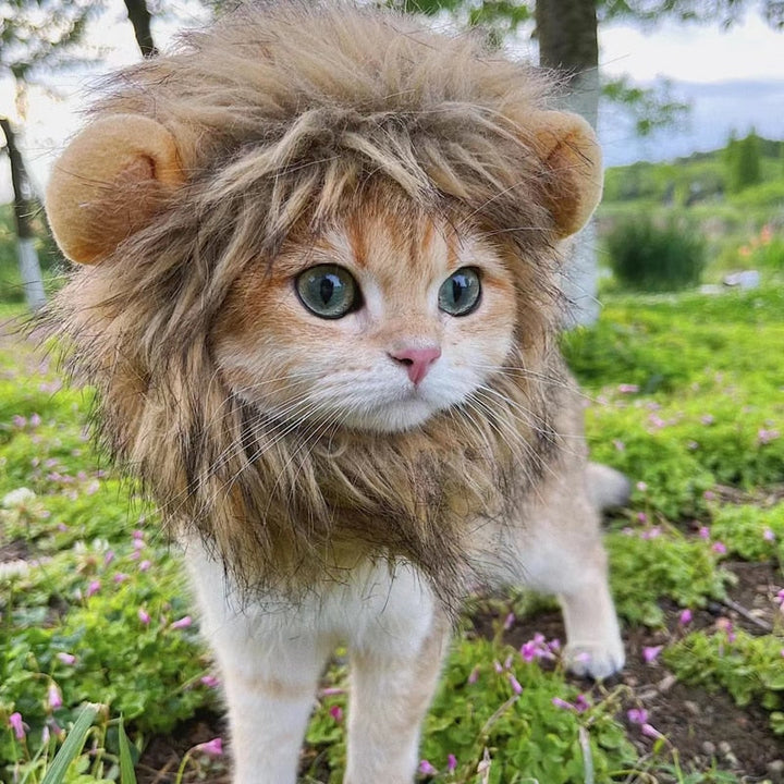 Lion's Mane Pet Costume